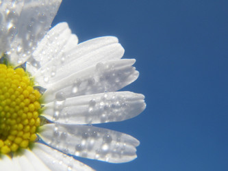 Similar image 1020309