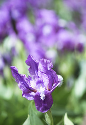 Similar image 1020311