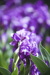 Similar image 1020312