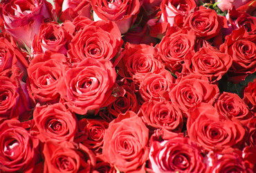 Similar image 1020317