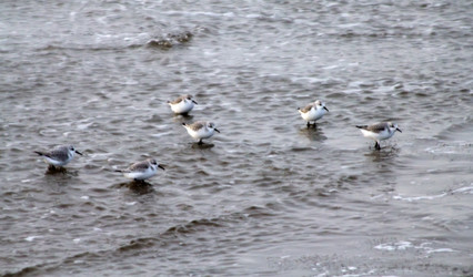 Similar image 1020333