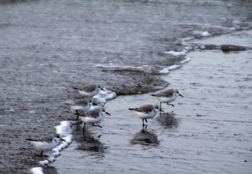 Similar image 1020334