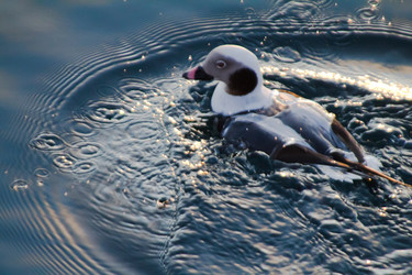 Similar image 1020344