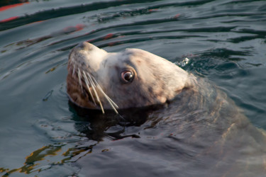 Similar image 1020347