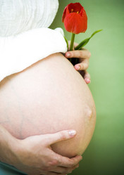 Similar image 1020354