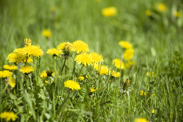 Similar image 1020355