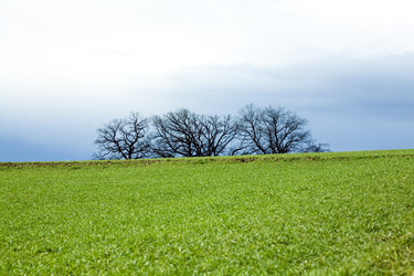 Similar image 1020356