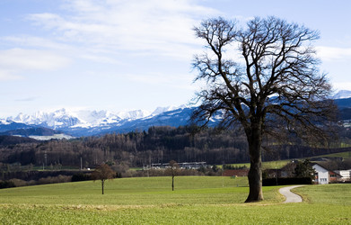 Similar image 1020357