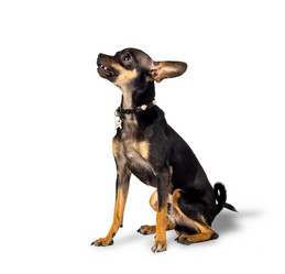 Similar image 1020359