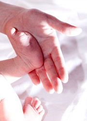 Similar image 1020390