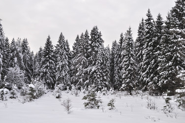 Similar image 1020412