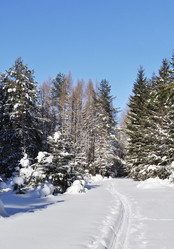 Similar image 1020413