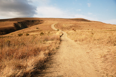 Similar image 1020416