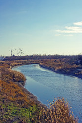 Similar image 1020418