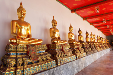 Similar image 1020419