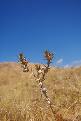 Similar image 1020439