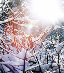 Similar image 1020503