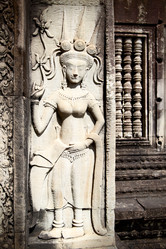 Similar image 1020529