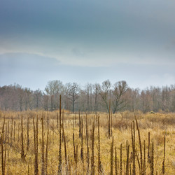 Similar image 1020530