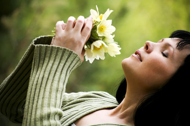 Similar image 1020537