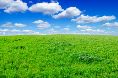 Similar image 1020551