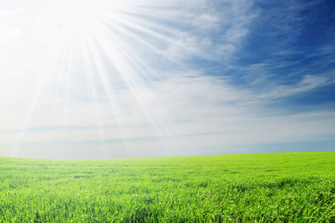 Similar image 1020553