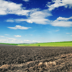 Similar image 1020555