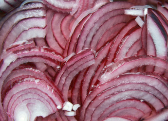 Similar image 1020576