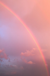 Similar image 1020656