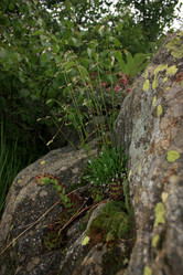 Similar image 1020673