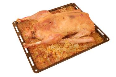 Similar image 1020674