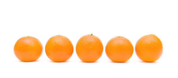 Similar image 1020709