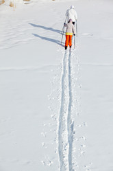 Similar image 1020721