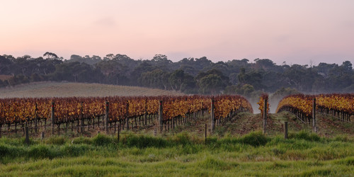 Similar image 1020734