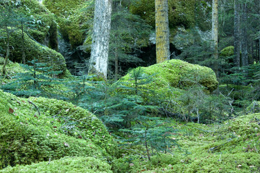 Similar image 1020753