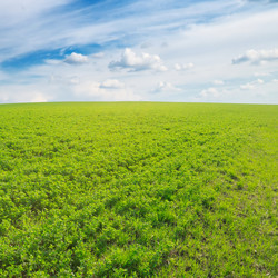 Similar image 1020782