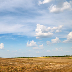 Similar image 1020784