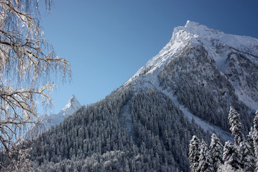 Similar image 1020790