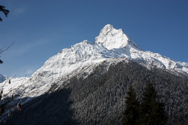 Similar image 1020801