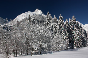 Similar image 1020805