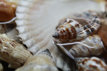 Similar image 1020809