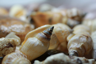 Similar image 1020810