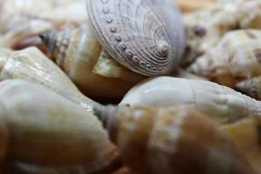 Similar image 1020811