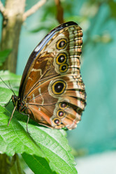 Similar image 1020812