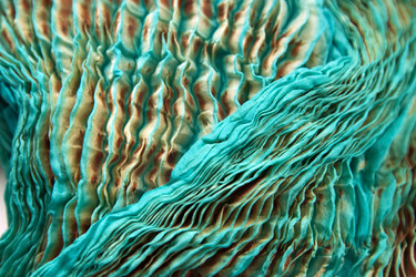 Similar image 1020816