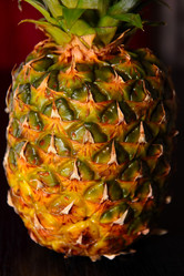 Similar image 1020818