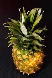 Similar image 1020819