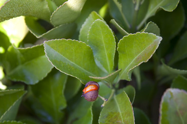 Similar image 1020826