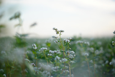 Similar image 1020854