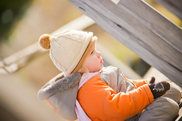 Similar image 1020893